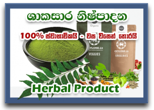 herbal prod-thumb Design for site spice